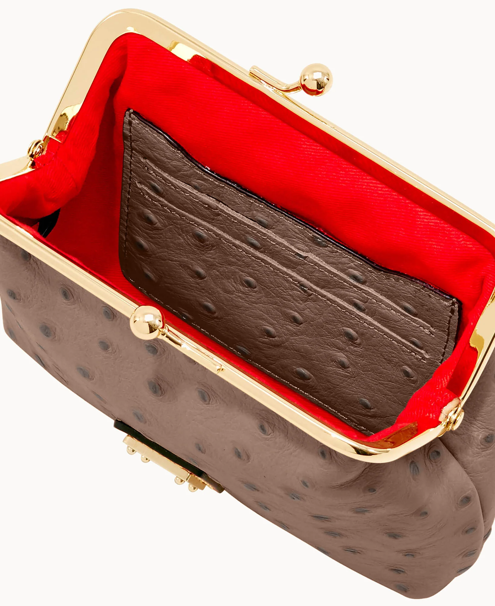 Ostrich Large Framed Purse - Image 50
