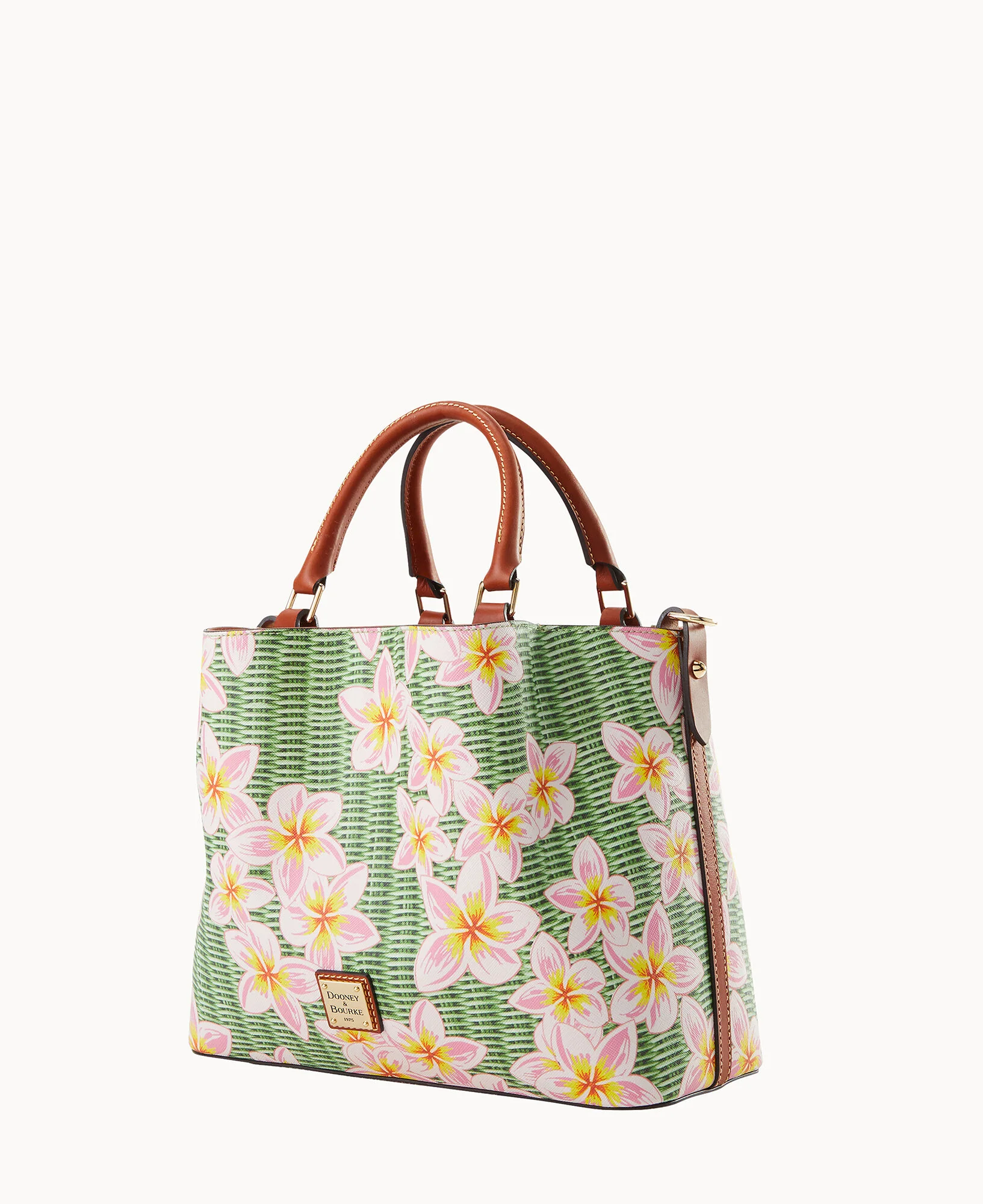 Plumeria Brenna - Image 10