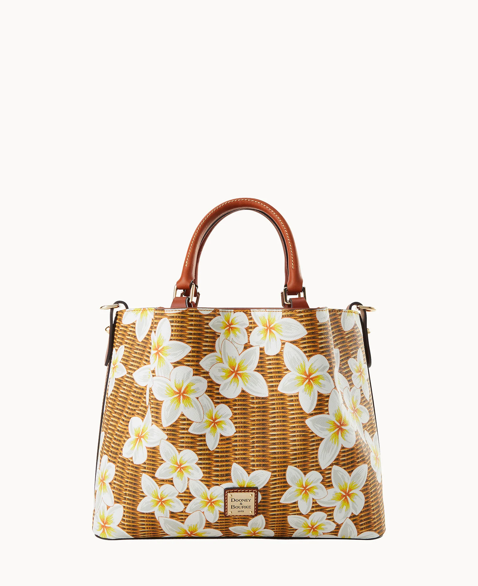 Plumeria Brenna - Image 5