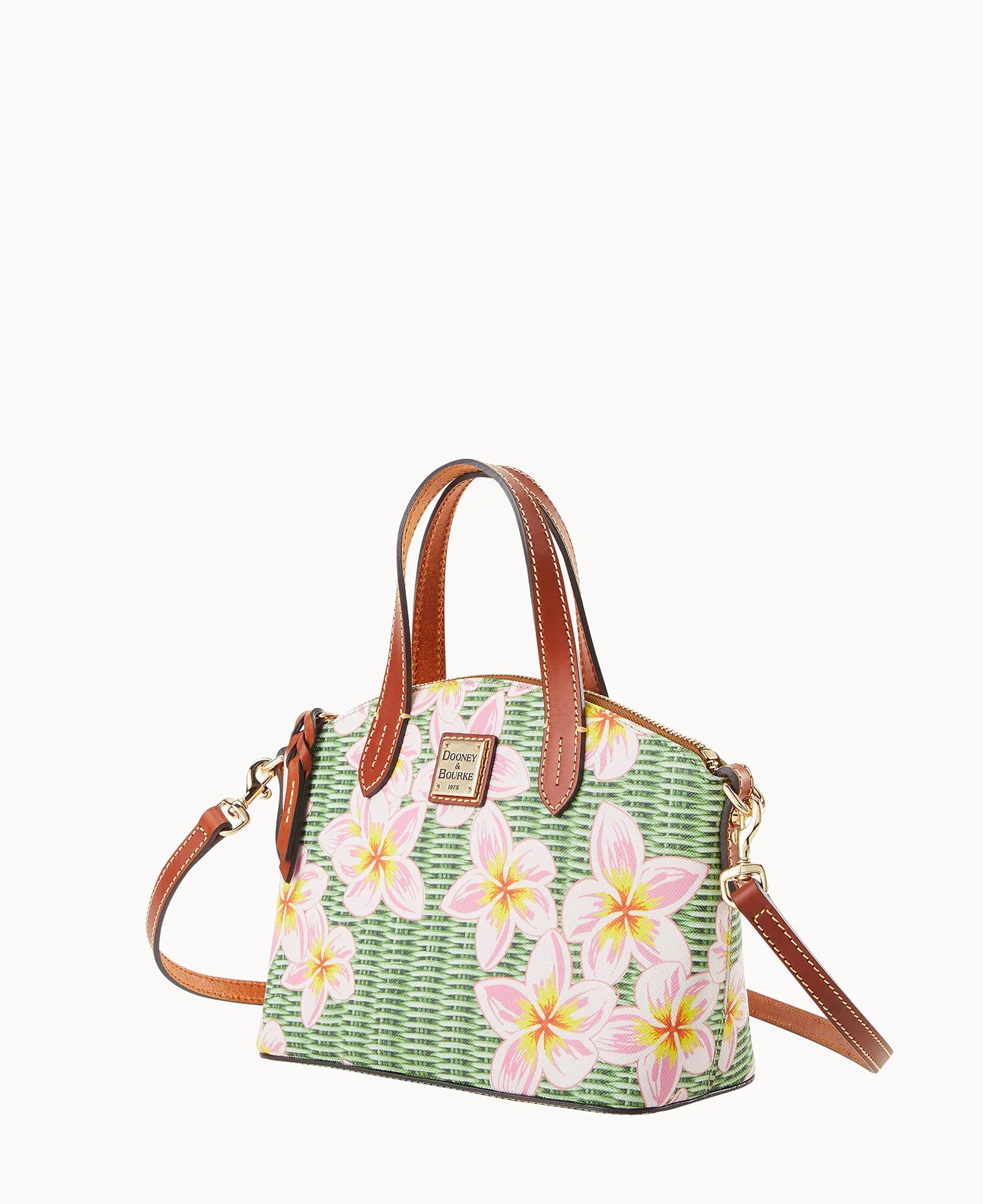 Plumeria Ruby - Image 2
