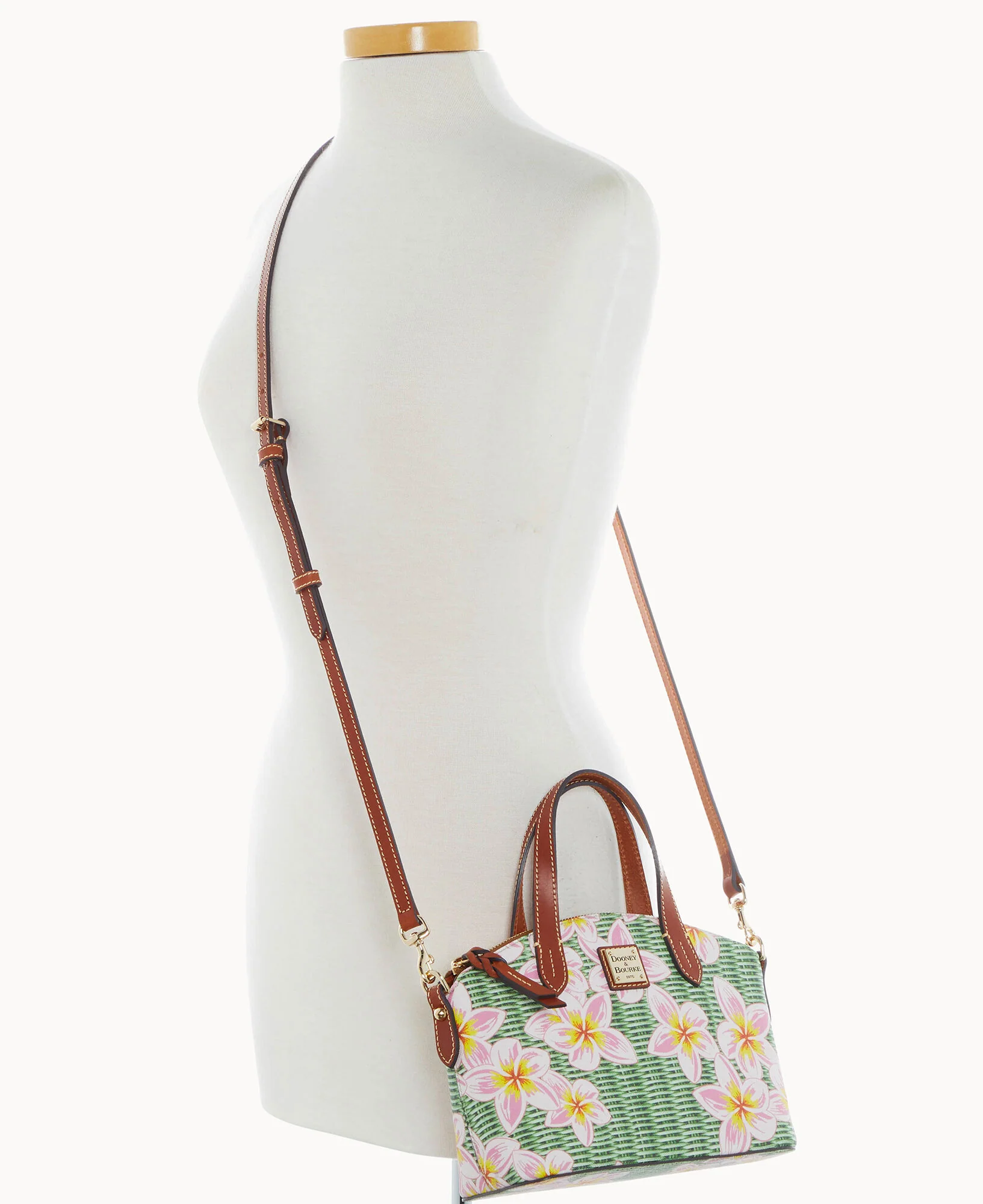Plumeria Ruby - Image 4