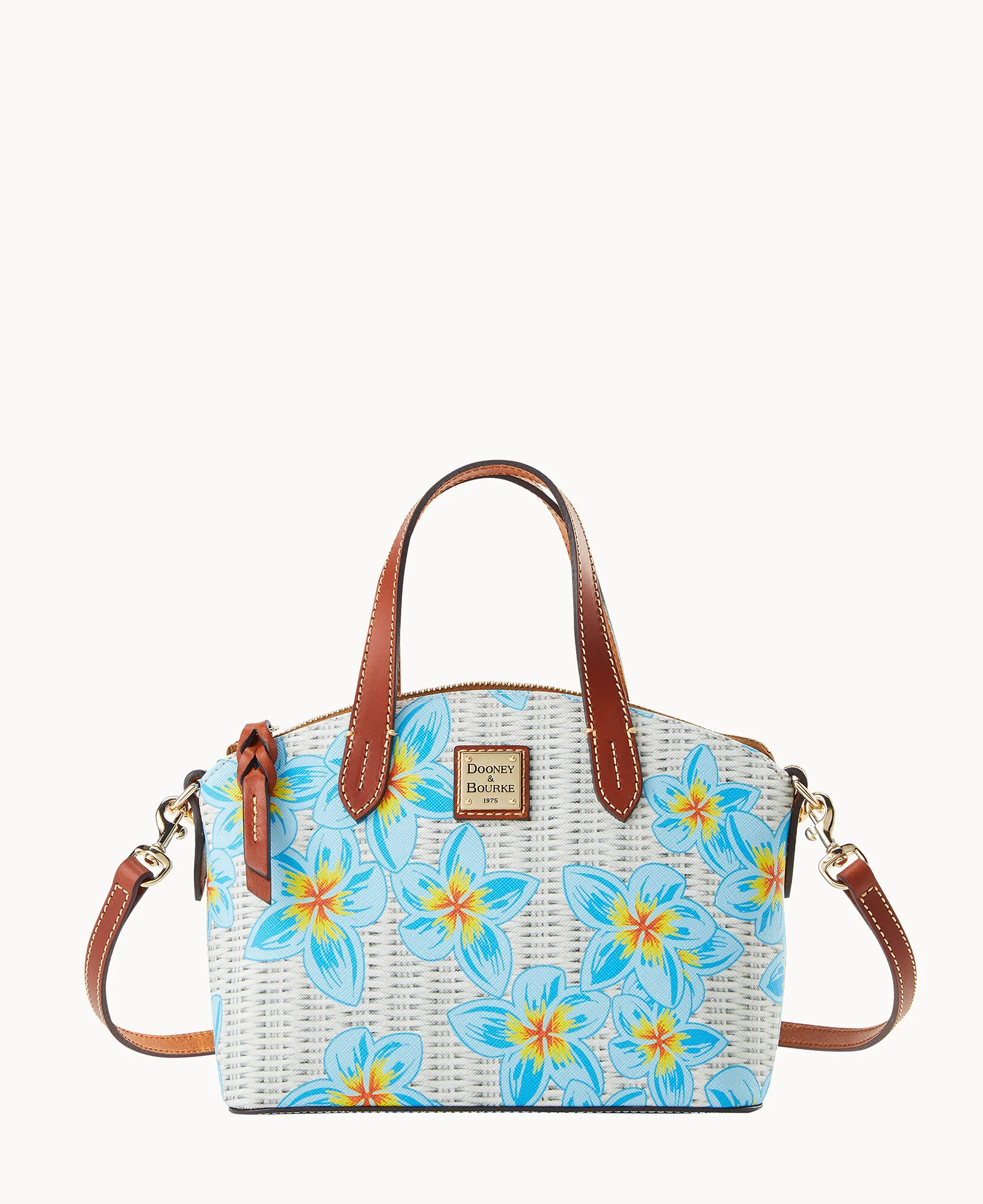 Plumeria Ruby - Image 5