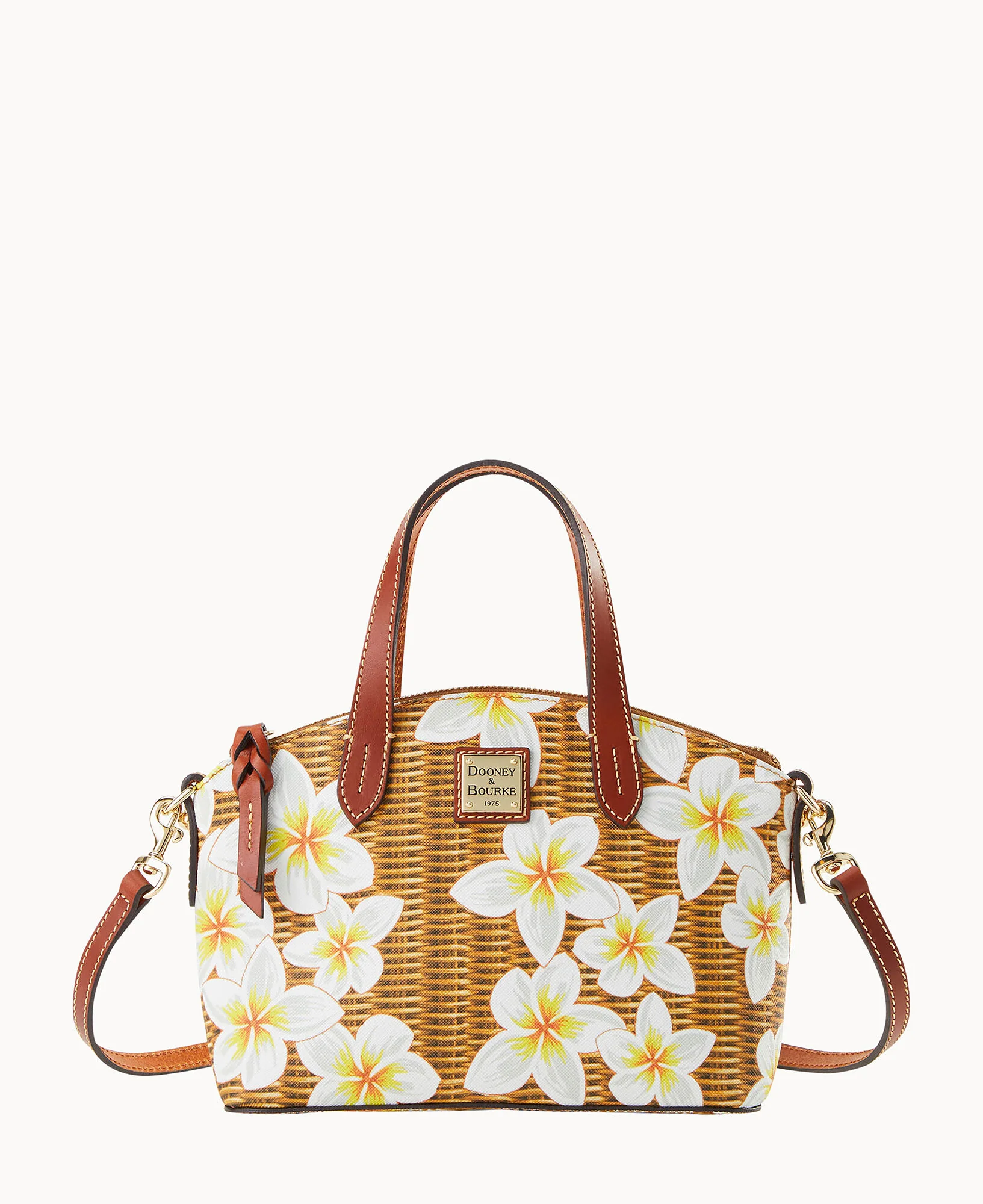 Plumeria Ruby - Image 9